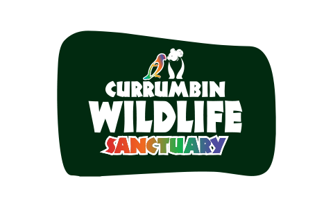 Currumbin_wildlife_logo